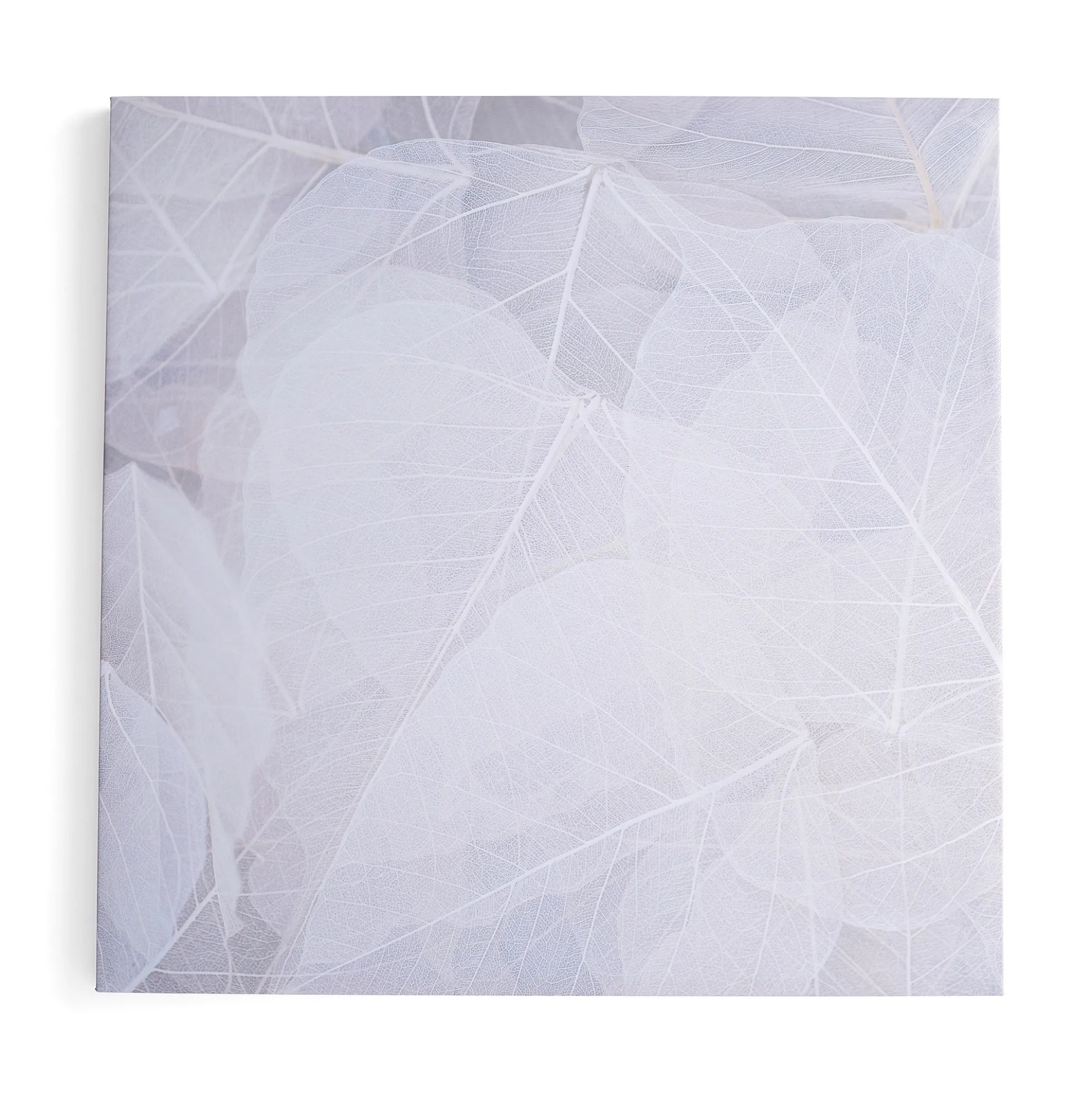 Akustiikkapaneeli IMAGE Talven lehti, 1200x1200 mm, beige