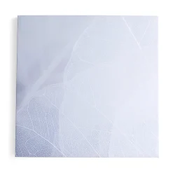 Akustiikkapaneeli IMAGE Talven lehti, 1200x1200 mm, harmaa