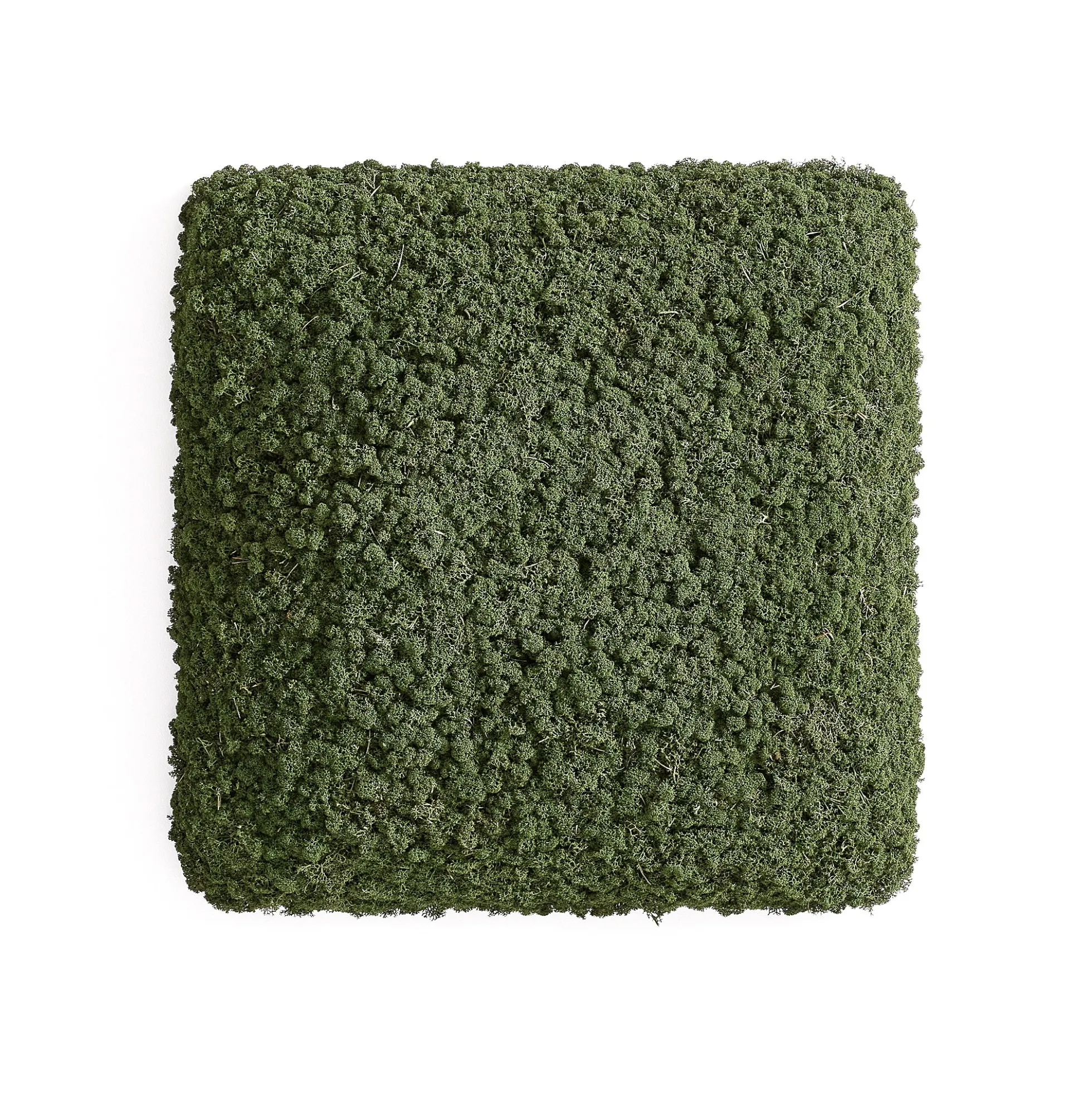 Akustiikkapaneeli RUDY 600x600 mm, vihreä
