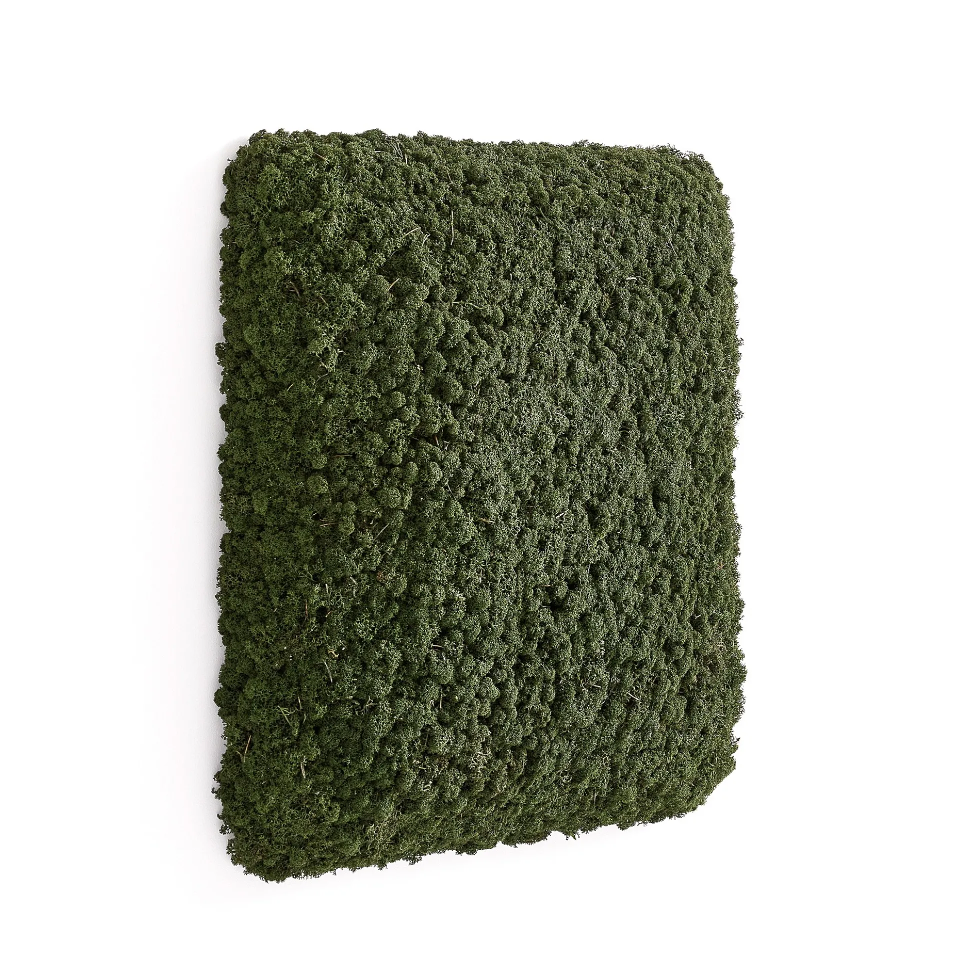 Akustiikkapaneeli RUDY 600x600 mm, vihreä