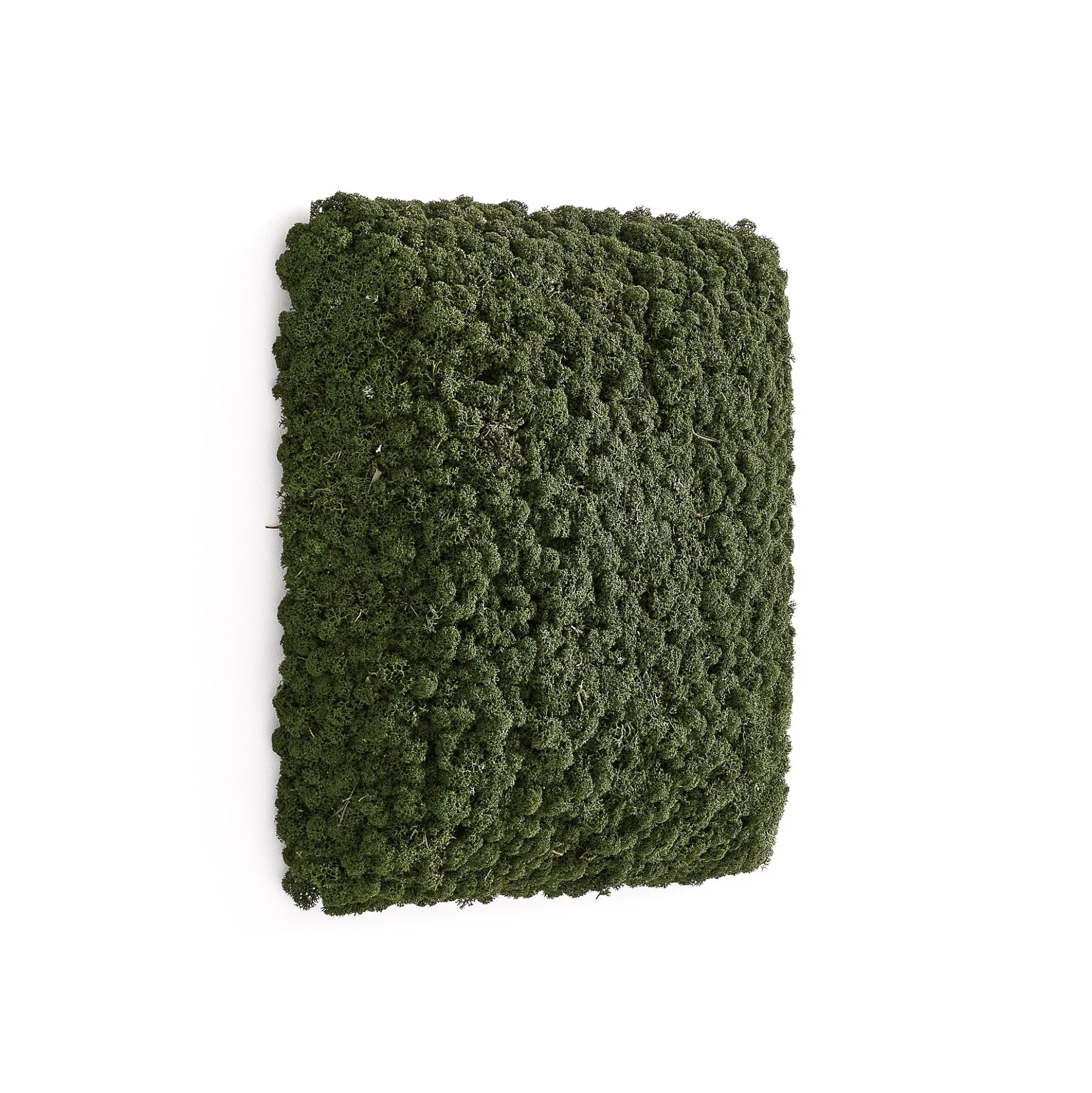 Akustiikkapaneeli RUDY 450x450 mm, vihreä