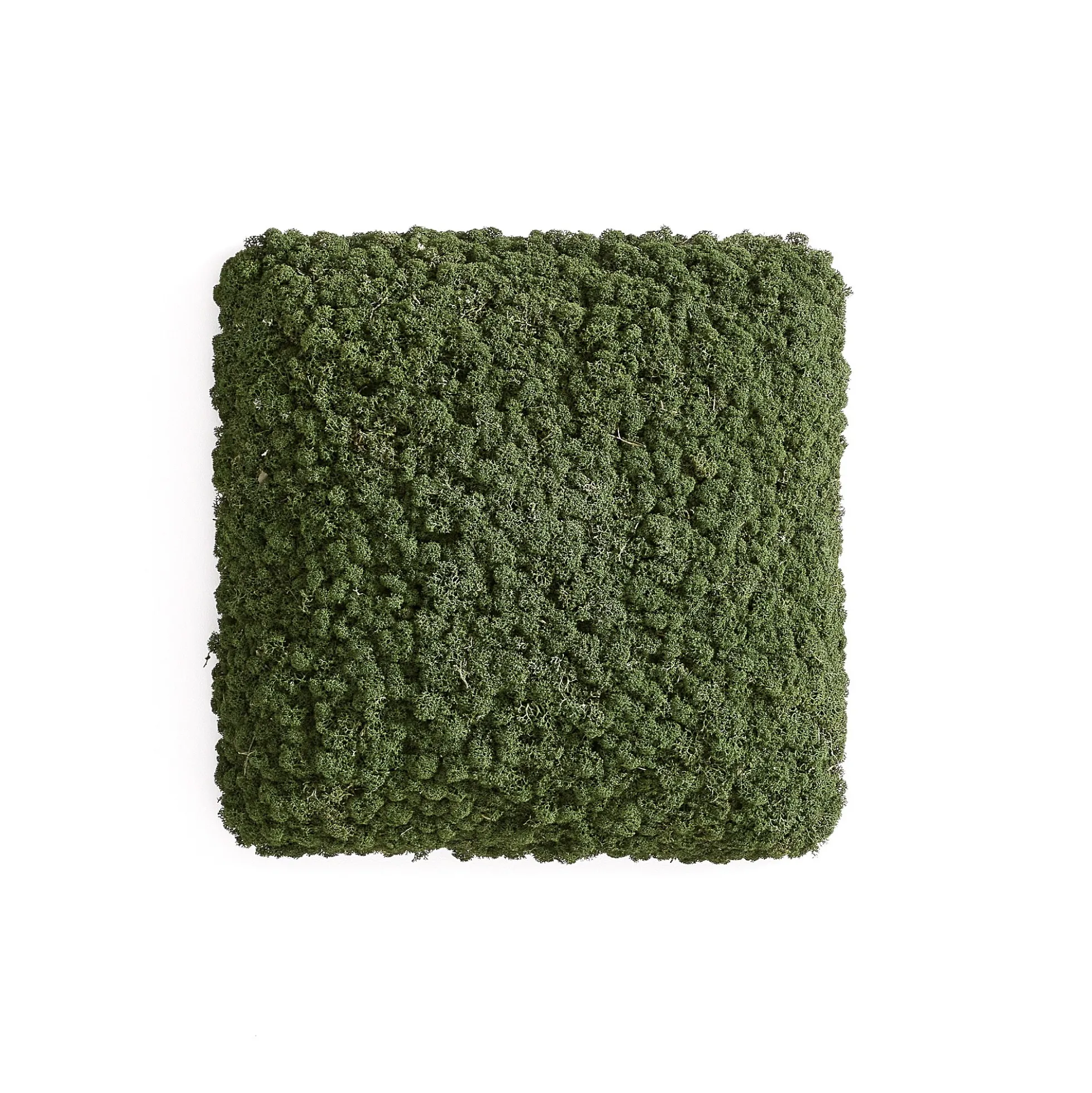 Akustiikkapaneeli RUDY 450x450 mm, vihreä