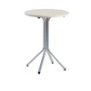 Baaripöytä VARIOUS Ø700x900 mm, hopeanharmaa, koivu