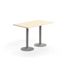 Baaripöytä VERTICUS 1400x800x900 mm, koivu/hopea