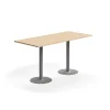 Baaripöytä VERTICUS 1800x800x900 mm, tammi/hopea
