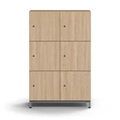 Lokerokaappi QBUS 6 lokeroa, jalusta, 1252x800x420 mm, hopea, tammi