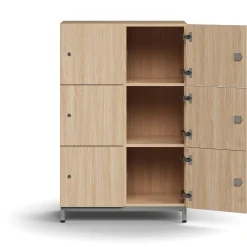 Lokerokaappi QBUS 6 lokeroa, jalusta, 1252x800x420 mm, hopea, tammi