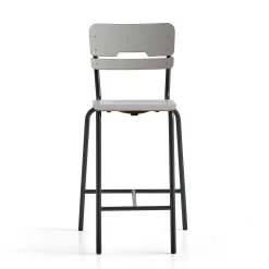 Oppilastuoli SCIENTIA Korkeus: 650 mm, antrasiitinharmaa/harmaa