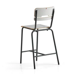 Oppilastuoli SCIENTIA Korkeus: 650 mm, antrasiitinharmaa/harmaa