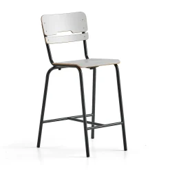 Oppilastuoli SCIENTIA Korkeus: 650 mm, antrasiitinharmaa/harmaa