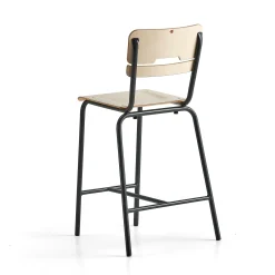 Oppilastuoli SCIENTIA Korkeus: 650 mm, antrasiitinharmaa/koivu