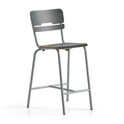 Oppilastuoli SCIENTIA Korkeus: 650 mm, hopeanharmaa/antrasiitinharmaa