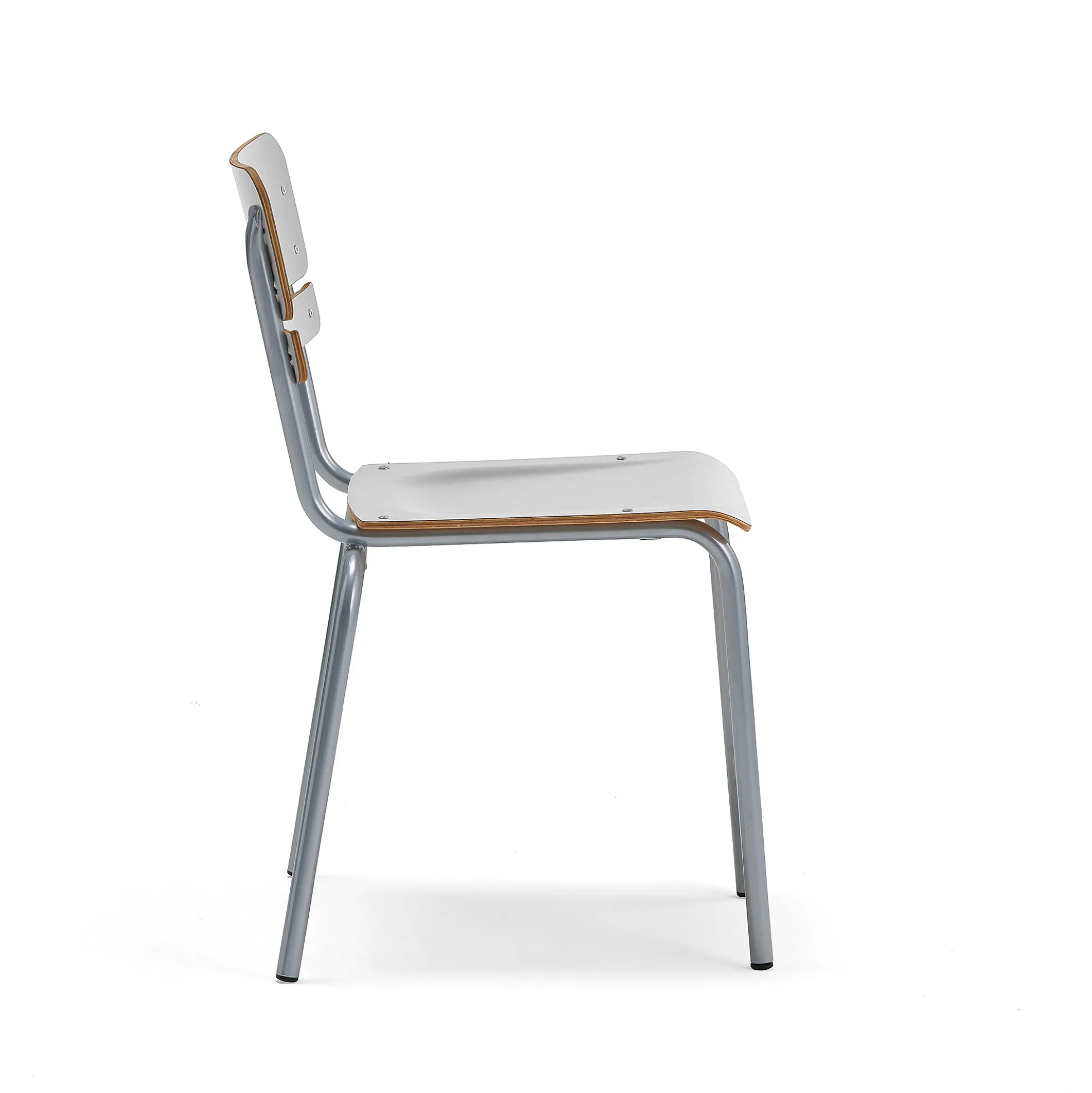 Oppilastuoli SCIENTIA Leveä istuin, korkeus: 460 mm, hopeanharmaa/harmaa