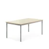 Pöytä BORÅS Korkeapainelaminaatti HPL, 1400x800x600 mm, koivu, hopeanharmaa