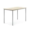 Pöytä BORÅS Korkeapainelaminaatti HPL, 1400x800x900 mm, koivu, hopeanharmaa