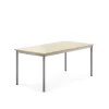 Pöytä BORÅS Korkeapainelaminaatti HPL, 1400x700x600 mm, koivu, hopeanharmaa