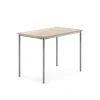 Pöytä BORÅS Korkeapainelaminaatti HPL, 1200x800x900 mm, koivu, hopeanharmaa