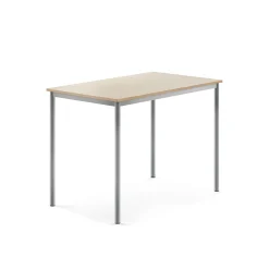 Pöytä BORÅS Korkeapainelaminaatti HPL, 1200x800x900 mm, koivu, hopeanharmaa
