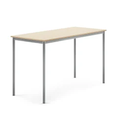 Pöytä BORÅS Korkeapainelaminaatti HPL, 1600x700x900 mm, koivu, hopeanharmaa