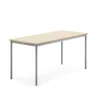 Pöytä BORÅS Korkeapainelaminaatti HPL, 1600x700x720 mm, koivu, hopeanharmaa