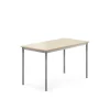 Pöytä BORÅS Korkeapainelaminaatti HPL, 1200x700x720 mm, koivu, hopeanharmaa