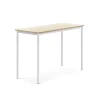 Pöytä BORÅS Korkeapainelaminaatti HPL, 1400x600x900 mm, koivu, valkoinen