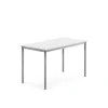 Pöytä BORÅS Korkeapainelaminaatti HPL, 1200x700x720 mm, valkoinen, hopeanharmaa