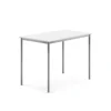 Pöytä BORÅS Korkeapainelaminaatti HPL, 1200x800x900 mm, valkoinen, hopeanharmaa