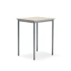 Pöytä BORÅS PLUS 700x600x900 mm, saarnilaminaatti, hopeanharmaa