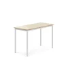 Pöytä BORÅS 1200x600x760 mm, koivulaminaatti, valkoinen
