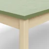 Pöytä DECIBEL 1800x800x590 mm, ääntä vaimentava linoleumi, koivu/harmaanvihreä