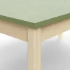 Pöytä DECIBEL 1200x700x530 mm, ääntä vaimentava linoleumi, koivu/harmaanvihreä