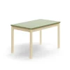 Pöytä DECIBEL 1200x700x720 mm, ääntä vaimentava linoleumi, koivu/harmaanvihreä
