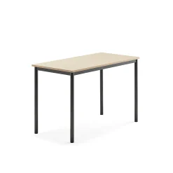 Pöytä SONITUS 1200x700x760 mm, korkeapainelaminaatti HPL, koivu, antrasiitinharmaa