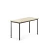 Pöytä SONITUS 1200x600x720 mm, korkeapainelaminaatti HPL, koivu, antrasiitinharmaa