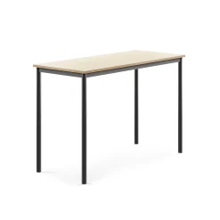 Pöytä SONITUS 1400x600x900 mm, korkeapainelaminaatti HPL, koivu, antrasiitinharmaa