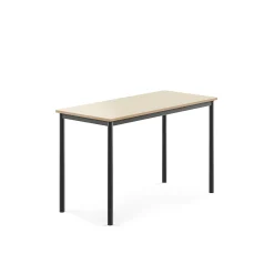 Pöytä SONITUS 1200x600x760 mm, korkeapainelaminaatti HPL, koivu, antrasiitinharmaa