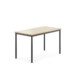 Pöytä SONITUS 1200x700x720 mm, korkeapainelaminaatti HPL, koivu, antrasiitinharmaa