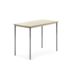Pöytä SONITUS 1200x700x900 mm, korkeapainelaminaatti HPL, koivu, hopeanharmaa