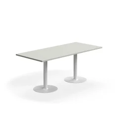 Pöytä VERTICUS 1800x800x720 mm, vaaleanharmaa/valkoinen