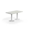 Pöytä VERTICUS 1400x800x720 mm, vaaleanharmaa/valkoinen
