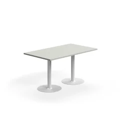 Pöytä VERTICUS 1400x800x720 mm, vaaleanharmaa/valkoinen