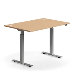 Sähköpöytä FLEXUS Suora pöytälevy, 1200x800 mm, hopeanharmaa jalusta, pyökki
