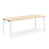 Taittopöytä NICKE 1800x700x720mm, hopeanharmaa, beige linoleumi