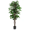 Tekokasvi EVERGREEN Ficus Benjamin, 1600 mm, 1 kpl/pk