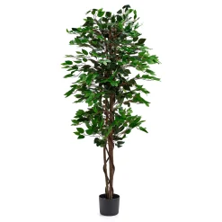 Tekokasvi EVERGREEN Ficus Benjamin, 1600 mm, 1 kpl/pk