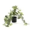 Tekokasvi EVERGREEN Hopealehti, riippuva, 600 mm, 1 kpl/pk
