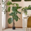 Tekokasvi EVERGREEN Monstera, 1800 mm, 1 kpl/pk
