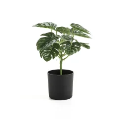 Tekokasvi EVERGREEN Monstera, 250 mm, 1 kpl/pk