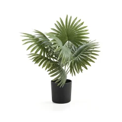 Tekokasvi EVERGREEN Palmu, 480 mm, 1 kpl/pk